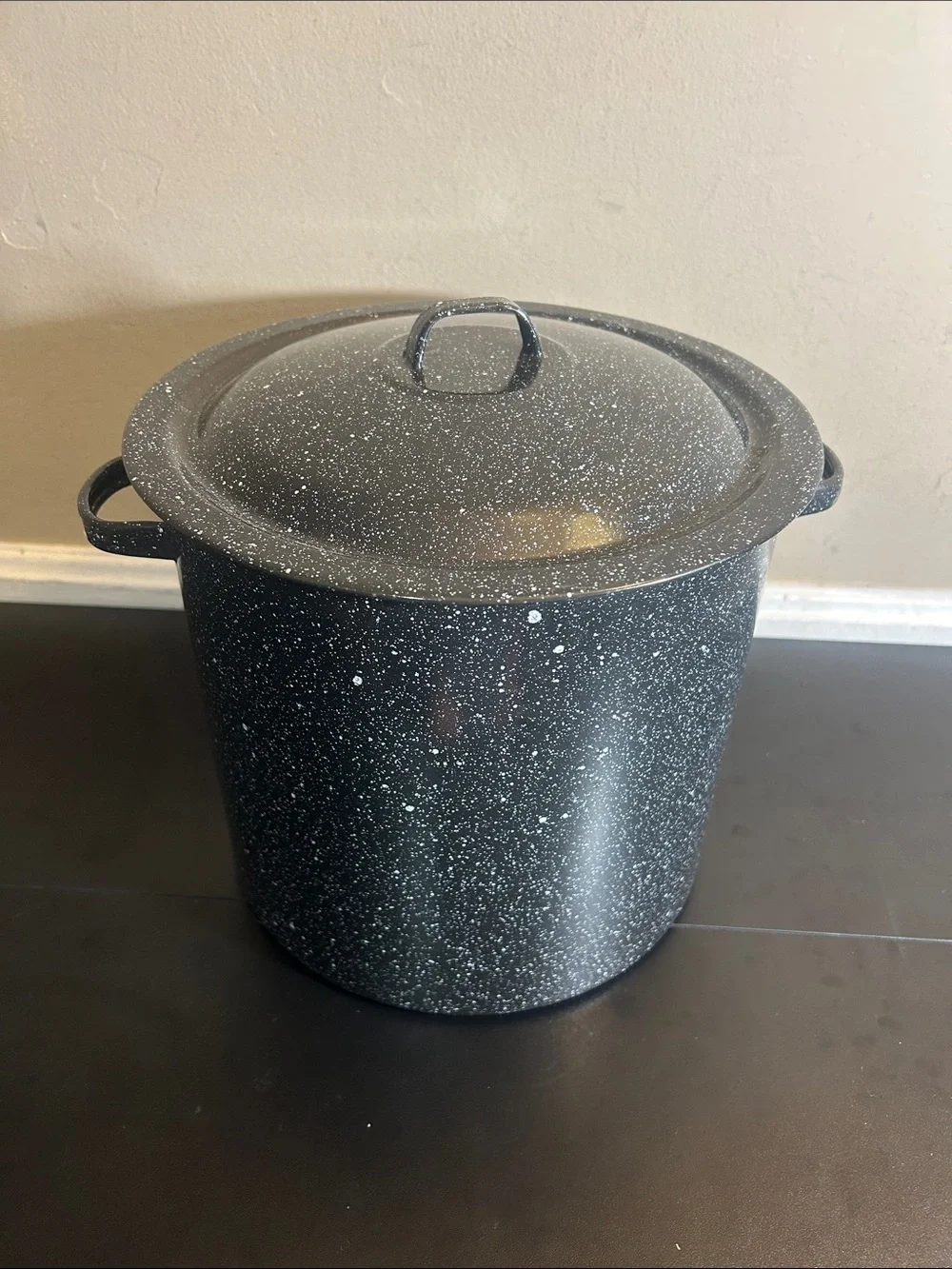 Black Speckled Stockpot with Lid - Heavy-Duty Cooking Pot Large.